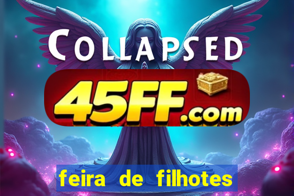 feira de filhotes porto alegre